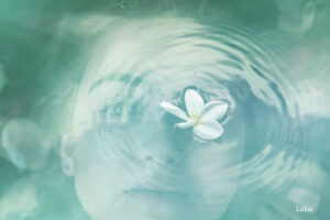 Double exposure art titled, "Reflection"