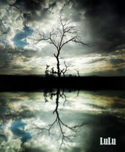 Photo composite titled, Death reflected