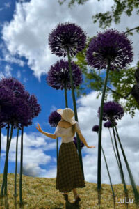 Digital collage, titled, "Purple Poms"