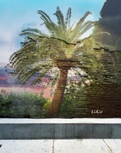 double exposure photography palm tree